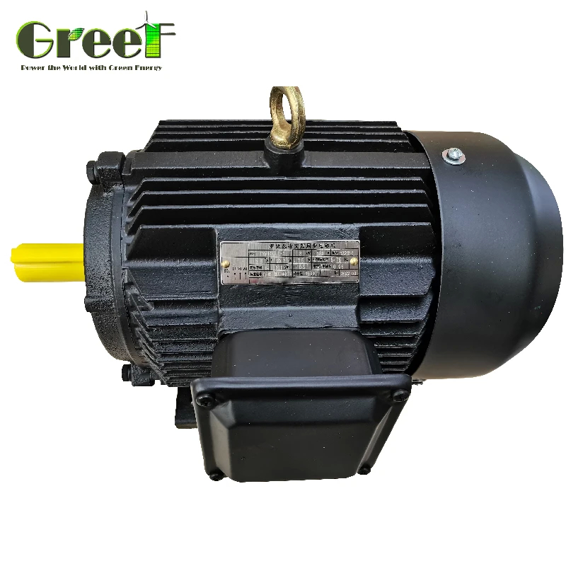 50Hz Kalıcı Mıknatıs 3 Fazlı AC Senkron Motor 750W-5MW değerli güçle