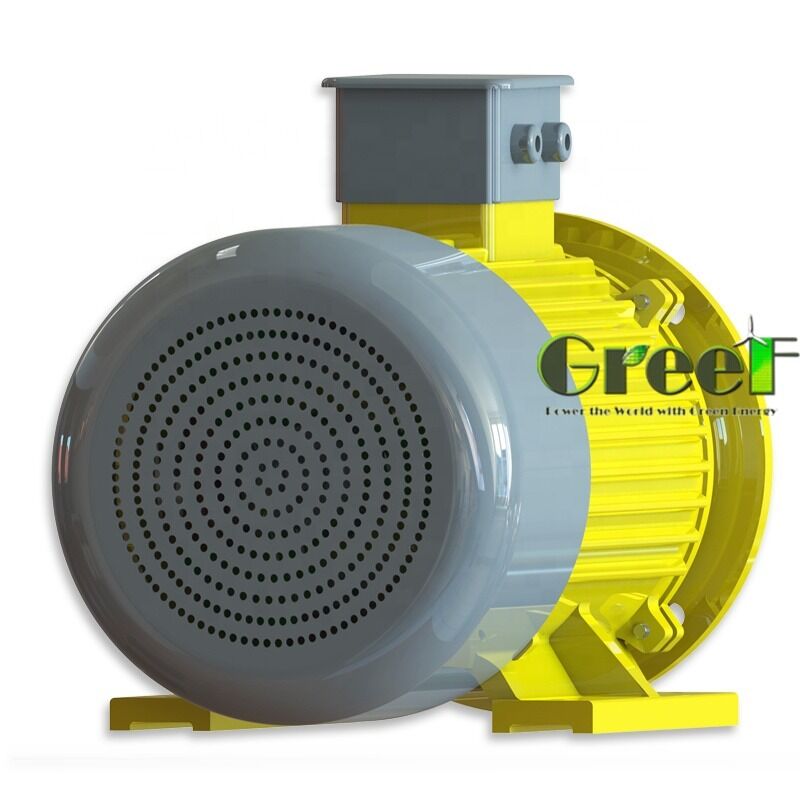 50HZ ve 60HZ frekanslı kalıcı mıknatıs motoru 100Mohm Min 500Vdc yalıtım direnci ve endüstriyel sistemler için 6 kutup