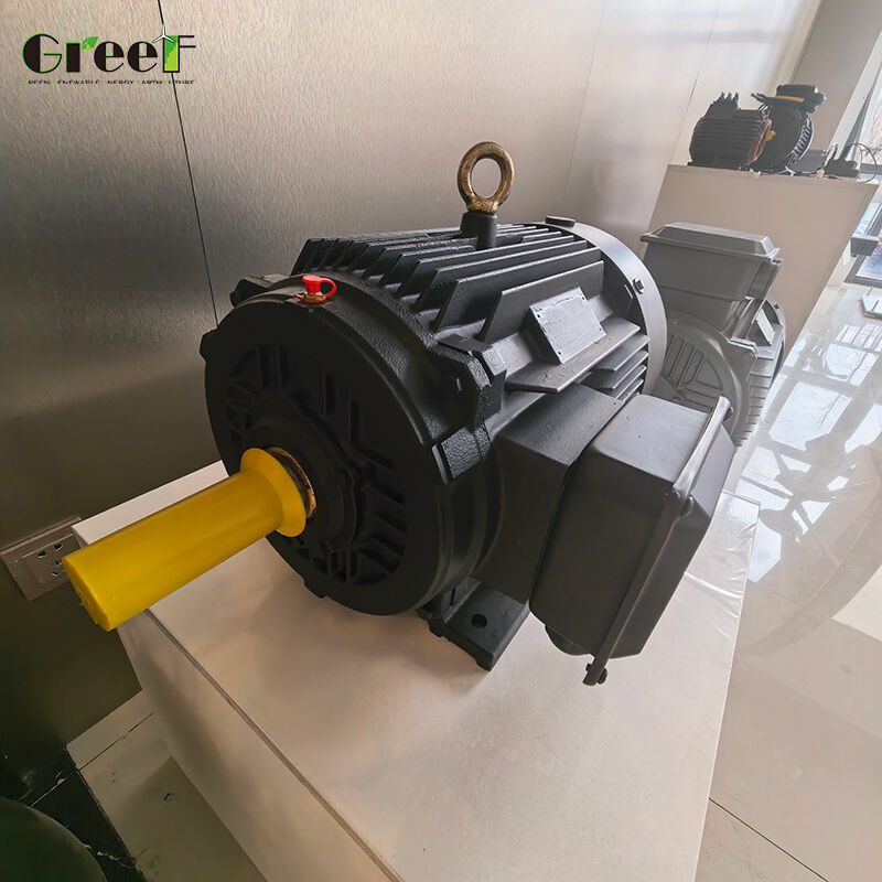 100Mohm Min 500Vdc yalıtım direnci, yalıtım sınıfı F ve 0-3000 RPM hız aralığı ile özelleştirilebilir kalıcı mıknatıs motoru