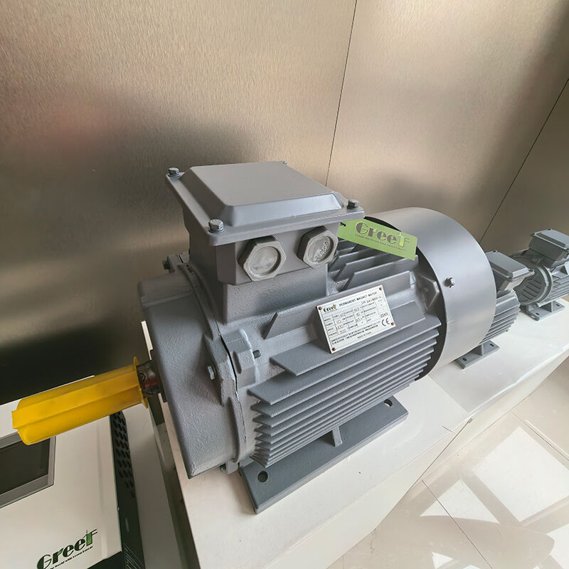 Endüstriyel uygulamalar için 0-3000 RPM ile IP54 derecelendirilmiş Flange Mount Permanent Magnet Motor