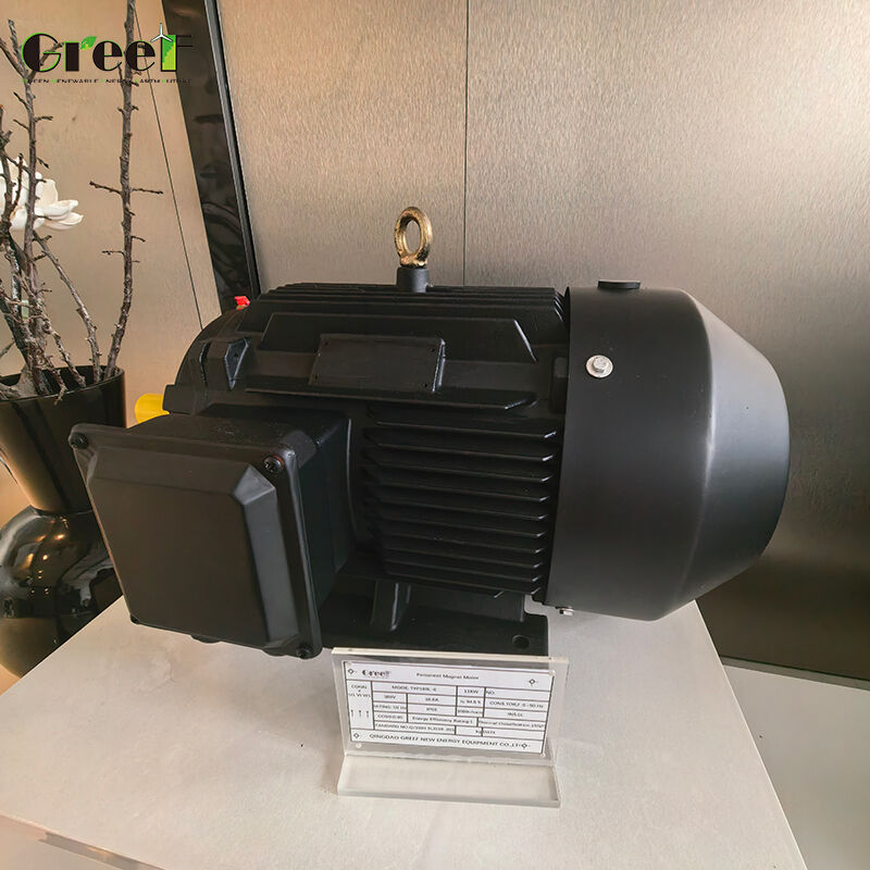 IP54 Sınıfı 6 Kutuplu Kalıcı Mıknatıslı Motor 0-8000 RPM Dayanıklı Endüstriyel Performans İçin