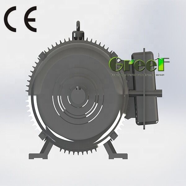 SKF Çiziksiz Kalıcı Mıknatıs Motoru NdFeB Mıknatıs Türü Yenilenebilir Enerji Robotikleri ve Endüstriyel Sürücüler için İdeal