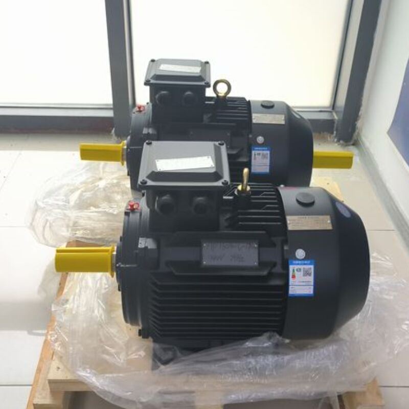 Endüstriyel Otomasyon için 0.5 Nm - 20 Nm Döner ve > 95% Verimlilik ile 750W-5MW Değerli Güç Kalıcı Mıknatıs Motoru