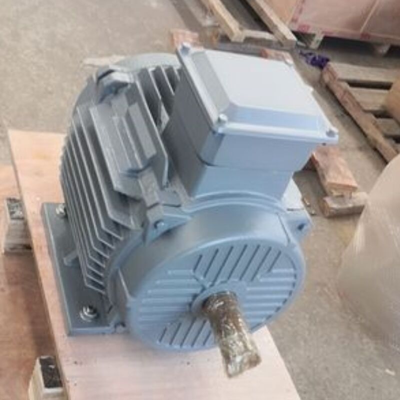 24V-1140V fırçasız kalıcı mıknatıs motoru Otomasyon makineleri ve enerji çözümleri için optimize edilmiş IP54 derece sınıflandırması sunar