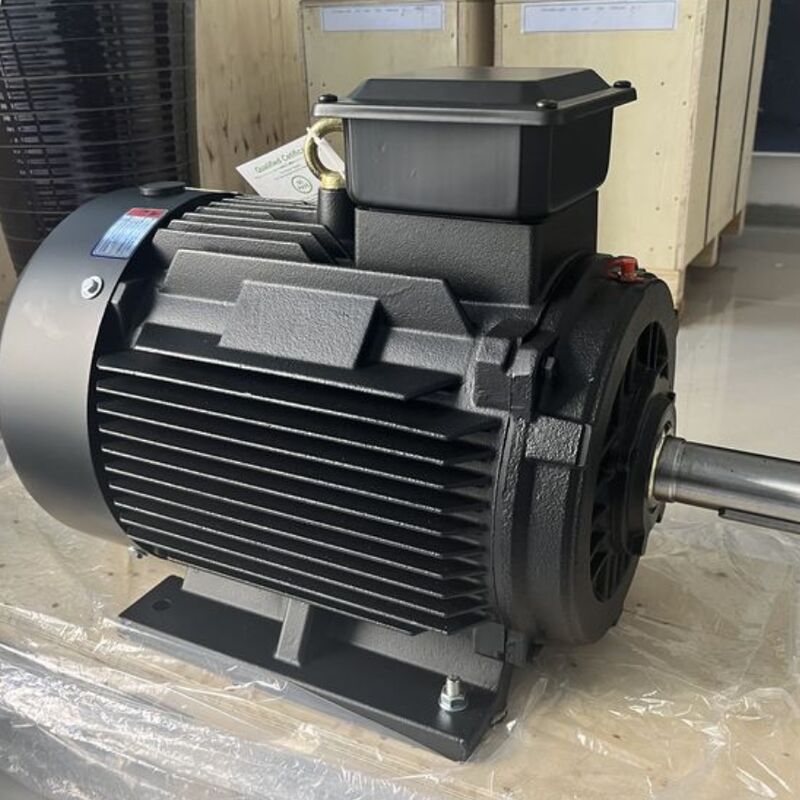 100Mohm Min Yalıtım Direnci, Özelleştirilebilir Kutuplar ve SKF Rulmanlı Yüksek Verimli Daimi Mıknatıslı Motor