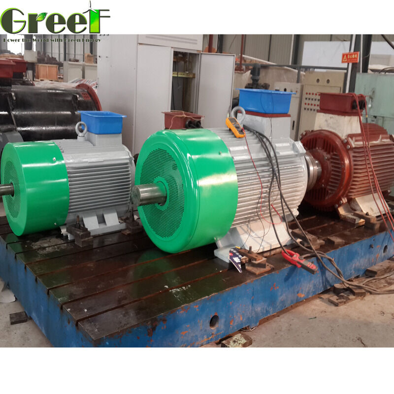 Verimlilik % 95'in Üzerinde Mıknatıs Motoru Belirlenmiş Güç 750w 5Mw Üretim ve İşlemde Performans için tasarlanmıştır