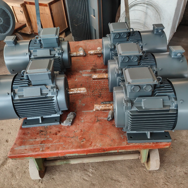 F Sınıfı Yalıtımlı ve IP55 Korumalı Düşük Sıcaklık Artışlı Daimi Mıknatıslı Senkron Motor